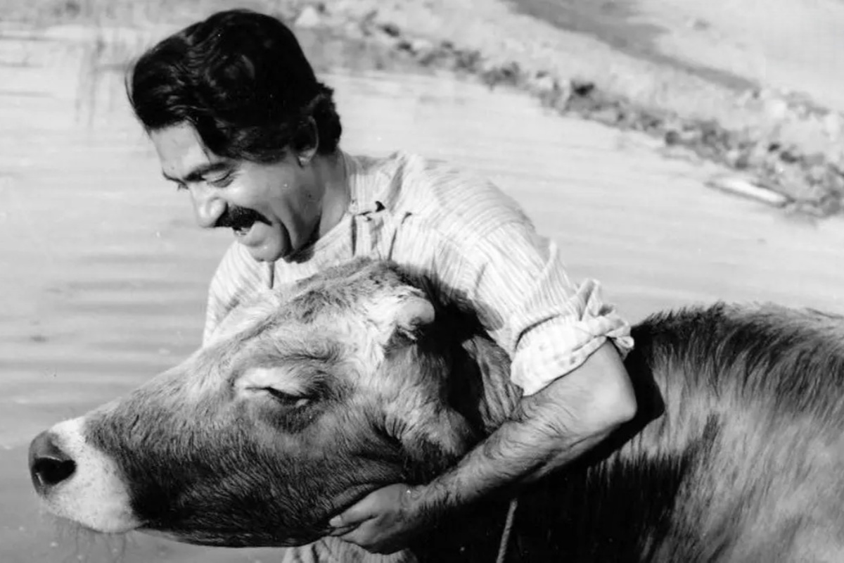 بهترین فیلمهای تاریخ سینمای ایران که باید دید بهترین فیلمهای تاریخ سینمای ایران که باید دید